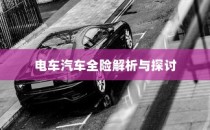 电车汽车全险解析与探讨，保障您的智能出行安全