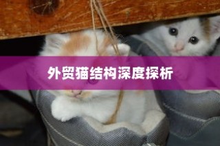 外贸猫结构深度解析，观察与洞察的未来视角