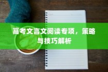 高考文言文阅读专项，策略与技巧深度解析