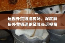 深度解析外贸猫理论，长远视角的应用与结构探讨