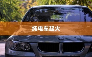 纯电车起火车型全面解析
