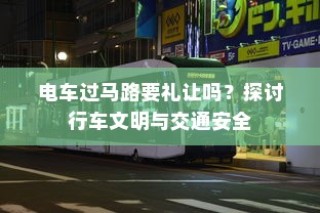 二十万左右纯电车选购指南，全方位解析您的选择选项