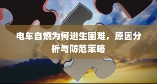 电车摇号购车全流程解析
