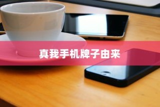 真我手机牌子由来与发展