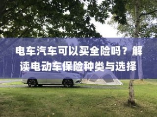 真皮电车坐垫套的通用性深度解析与探讨，通用性探讨及深度解析
