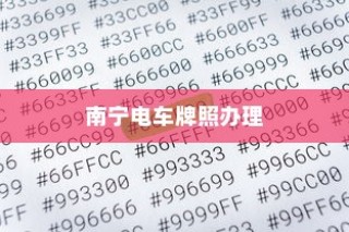 南宁电车牌照申请指南，流程、材料清单全解析