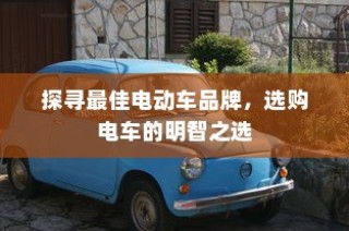 探寻电动车品牌之最，明智选购电车指南