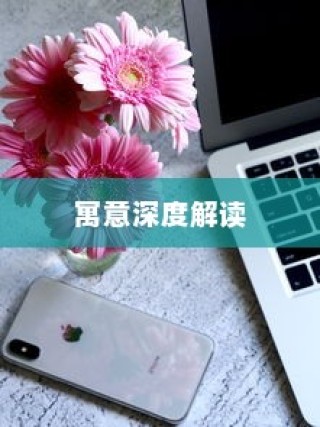 苹果手机壳寓意的深度解读