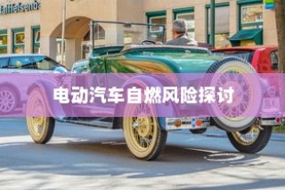 电动汽车停车状态下的安全性解析，自燃风险探讨与防范措施