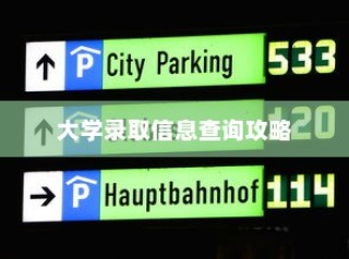大学录取信息查询全攻略，轻松获取准确录取号码信息指南