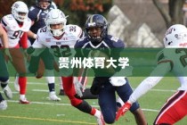 贵州体育大学录取分数解析