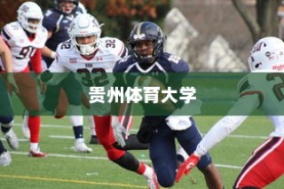 贵州体育大学录取分数解析