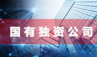 怎么查公司是不是国企，国有企业和国有公司有什么区别