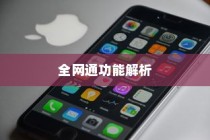 电信版iPhone 6全网通功能解析