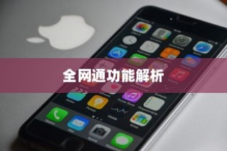 电信版iPhone 6全网通功能解析