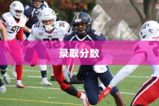 了解HD功能