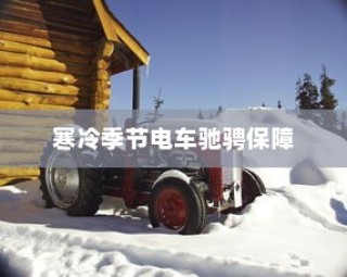 冬季电动车使用与维护指南，保障寒冷季节电车驰骋无阻