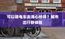 城市出行新体验，电车能否畅游海心桥？