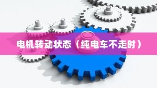 揭秘电动车动力系统运作机制，电机在纯电车不走时的运转状态探讨