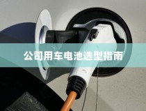 公司用车电池选型指南，聚焦电动车电池类型与选择要素解析