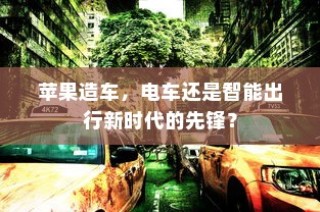 外贸猫结构探索，深度观察与分析
