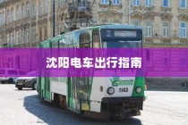 二十万左右纯电车选购攻略，全方位解读你的选择需求