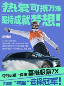 冠军背后的实力揭秘，成为首选之路的秘诀探寻