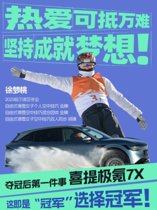 冠军背后的实力揭秘，成为首选之路的秘诀探寻
