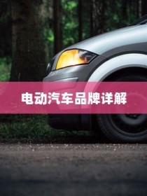 电动汽车品牌详解，如何选择最适合您的车型