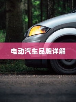电动汽车品牌详解，如何选择最适合您的车型
