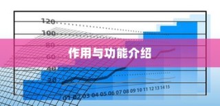 WAN/LAN接口详解，定义、作用与功能介绍