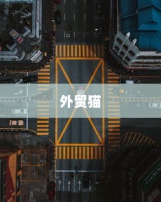 外贸猫，结构、策略与发展视角下的全方位深度洞察