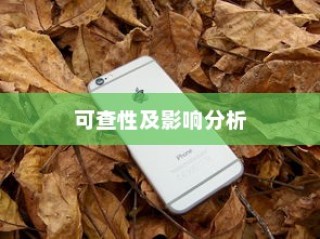 iPhone扩容是否可查及其影响分析