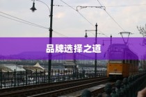 电车时代品牌选择攻略，明智决策你的出行之选