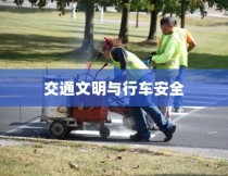 电车过马路是否需要礼让？探讨交通文明与行车安全的关联。