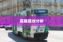 电车出行至高陵，现状与深度分析