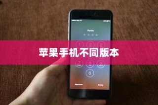 苹果手机卖什么版本，全面解析不同版本的特点与选择