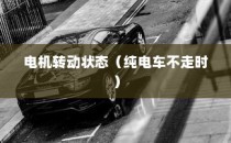 揭秘电动车动力系统运作机制，电机在纯电车不走时的运转状态探讨