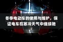 冬季电动车使用与维护指南，保障寒冷天气下的电车驰骋无阻