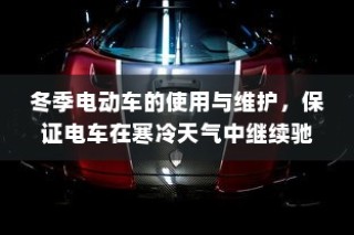 冬季电动车使用与维护指南，保障寒冷天气下的电车驰骋无阻