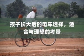 孩子成长后的电车选择，适合与理想的权衡