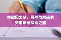 林徽因之梦，高考之路与未来交响乐章的探索之旅