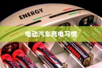 电动汽车充电习惯解析，是否需要等到用完再充电？揭秘充电误区。
