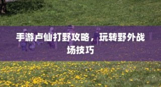 手游卢仙打野攻略，玩转野外战场技巧秘籍