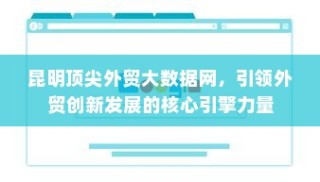 昆明顶尖外贸大数据网，引领外贸创新发展的核心力量