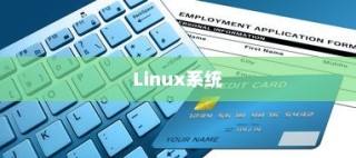 Linux系统中如何查找并识别运行在特定端口（如端口22）上的程序