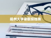 江苏扬州大学录取投档线深度解析与探索