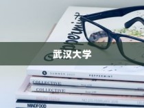 武汉大学河南录取政策深度解读与解析