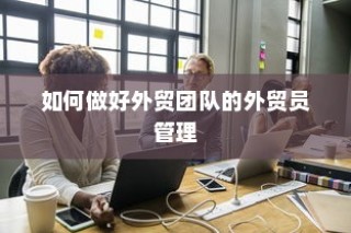 外贸团队外贸员管理优化策略，打造高效团队之道