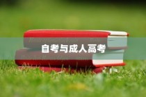 自考与成人高考，双轨并进，共筑成才梦想之桥